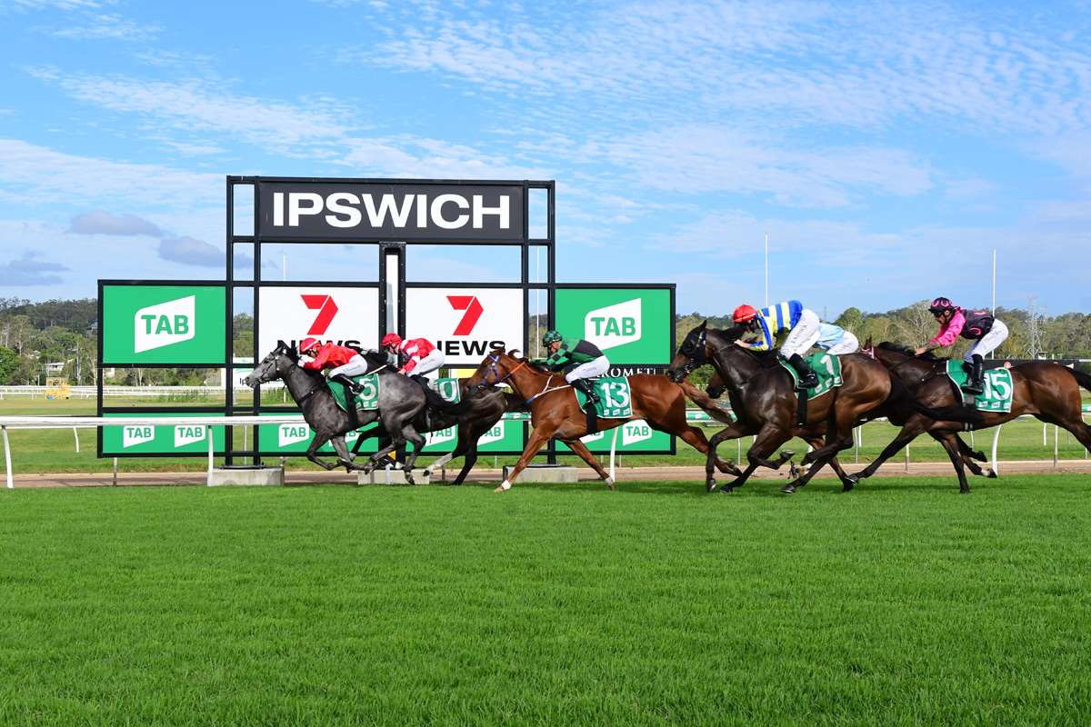 Ipswich Preview and Selections – Friday 15 December 2023