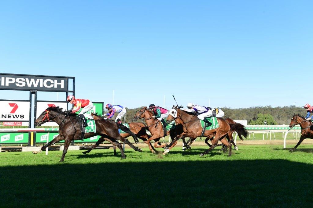 Ipswich Preview And Selections 31 August 2022